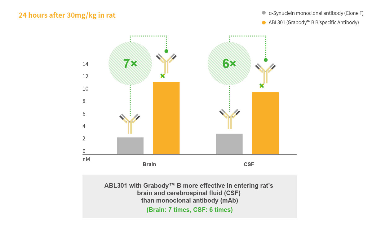 Superb BBB Penetration of Grabody™ B in Vivo