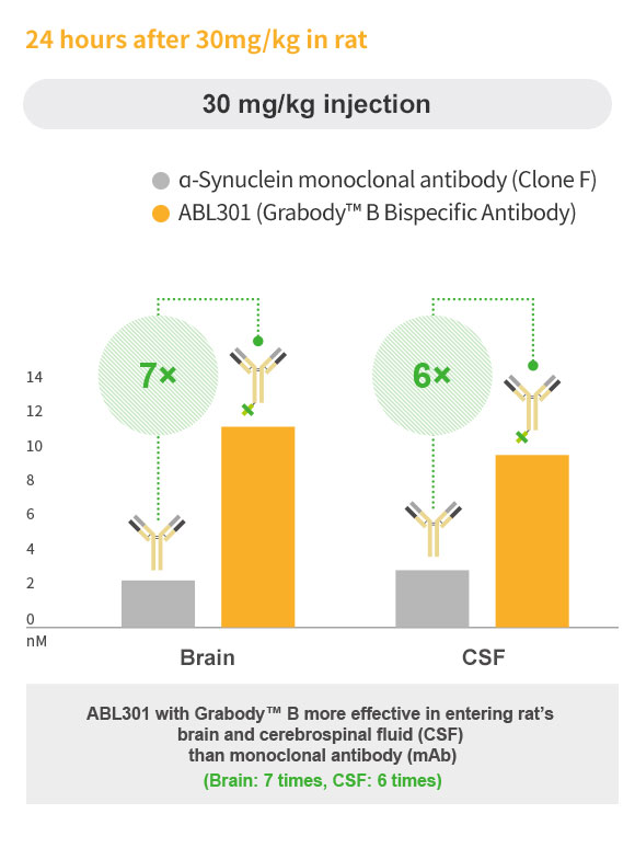 Superb BBB Penetration of Grabody™ B in Vivo