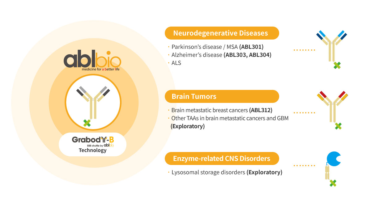 Grabody™ B Can be Applied to Multiple CNS Indications