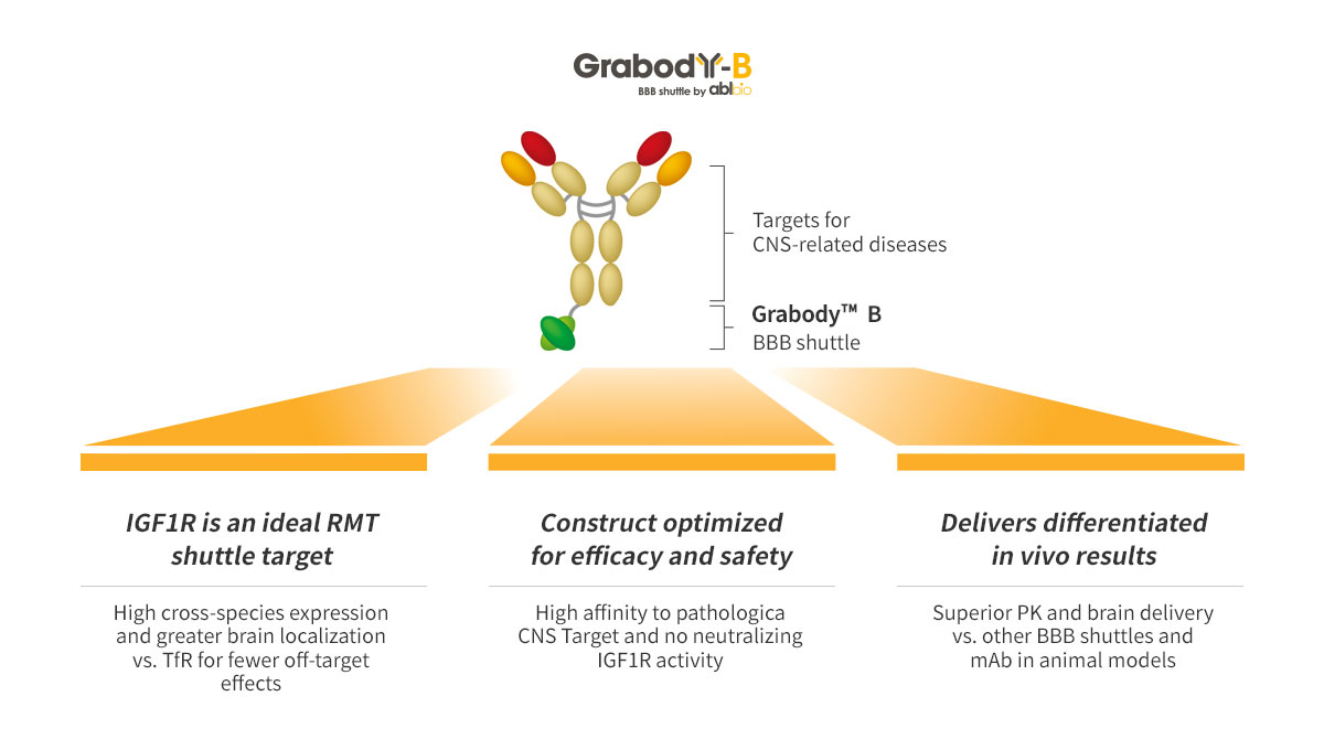 Grabody-B is Designed to Overcome BBB-Penetrance Challenges of Traditional mAbs while Delivering Optimal Safety & Efficacy