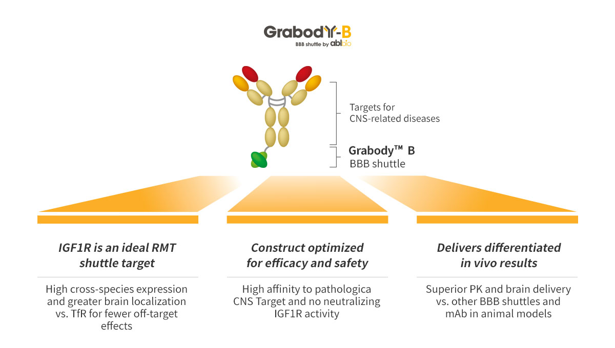 Grabody-B is Designed to Overcome BBB-Penetrance Challenges of Traditional mAbs while Delivering Optimal Safety & Efficacy