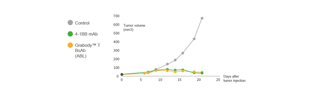 Anti-Tumor Effect with ABL’s Grabody™ T BsAb