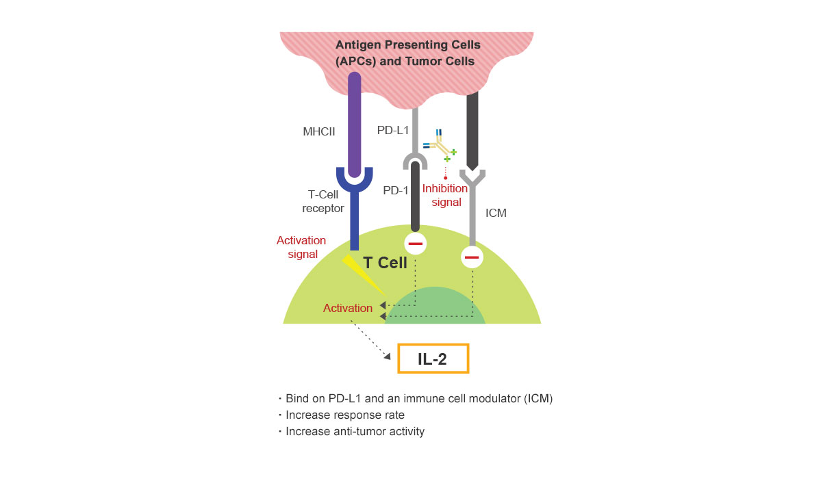 Mechanism of Action of Grabody™ I
