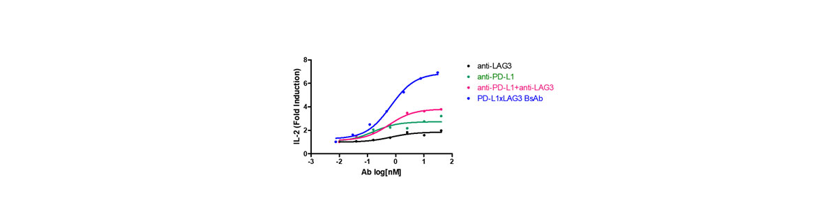Superior T Cell Activation than Combination by ABL’s Grabody™ I BsAb