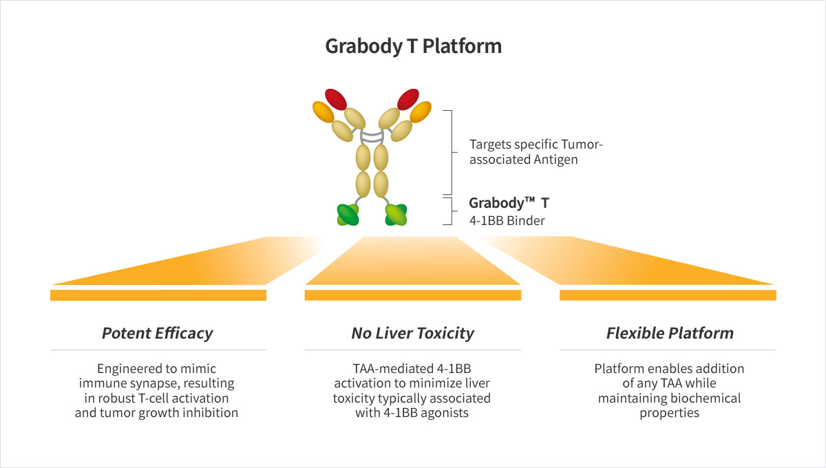 Summary: Modular 4-1BB Engaging Platform with Broad Application Potentials Across Multiple TAAs