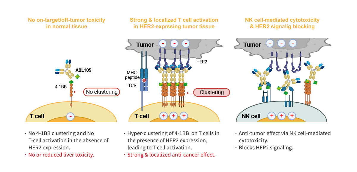 MOA of ABL105