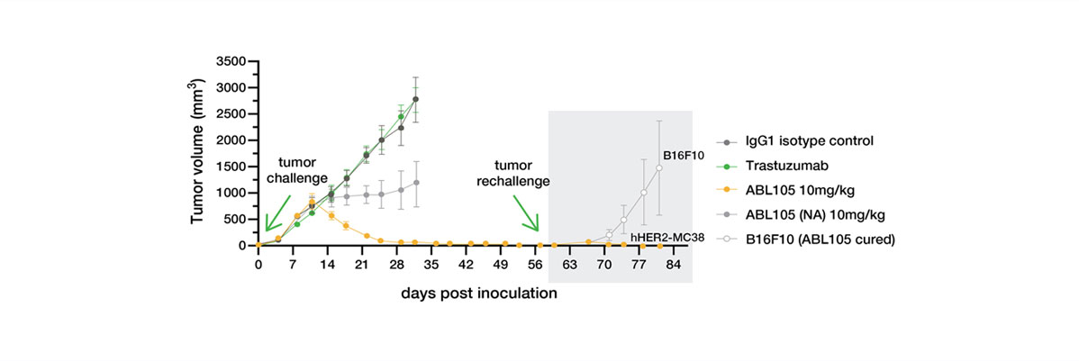 Strong Anti-Tumor Effect