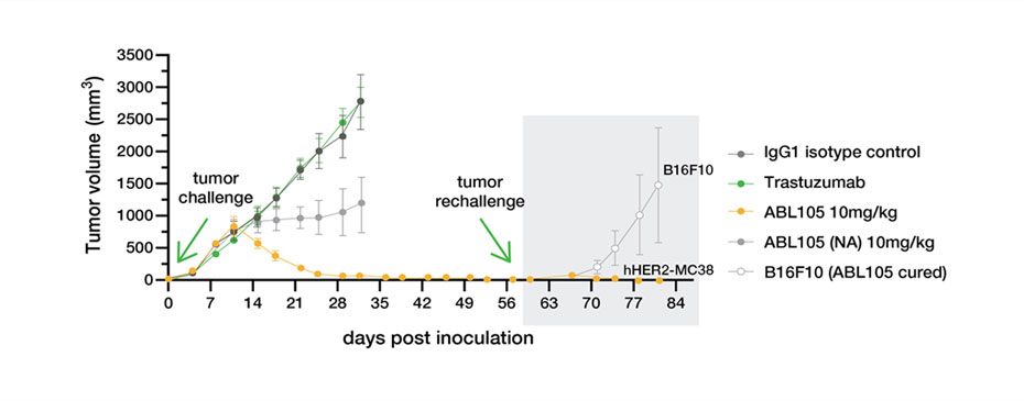 Strong Anti-Tumor Effect