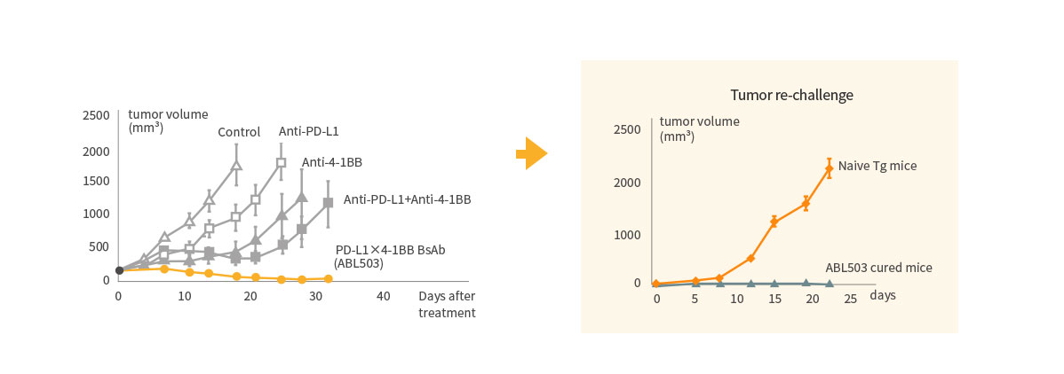 Superior Anti-Tumor Effect with Immunological Memory