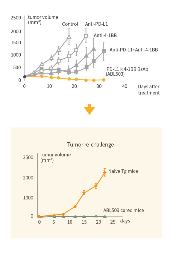Superior Anti-Tumor Effect with Immunological Memory