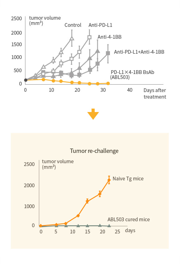 Superior Anti-Tumor Effect with Immunological Memory