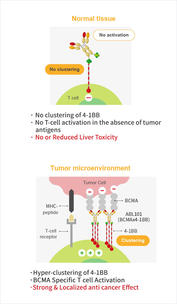 Structure and Mechanism of Action