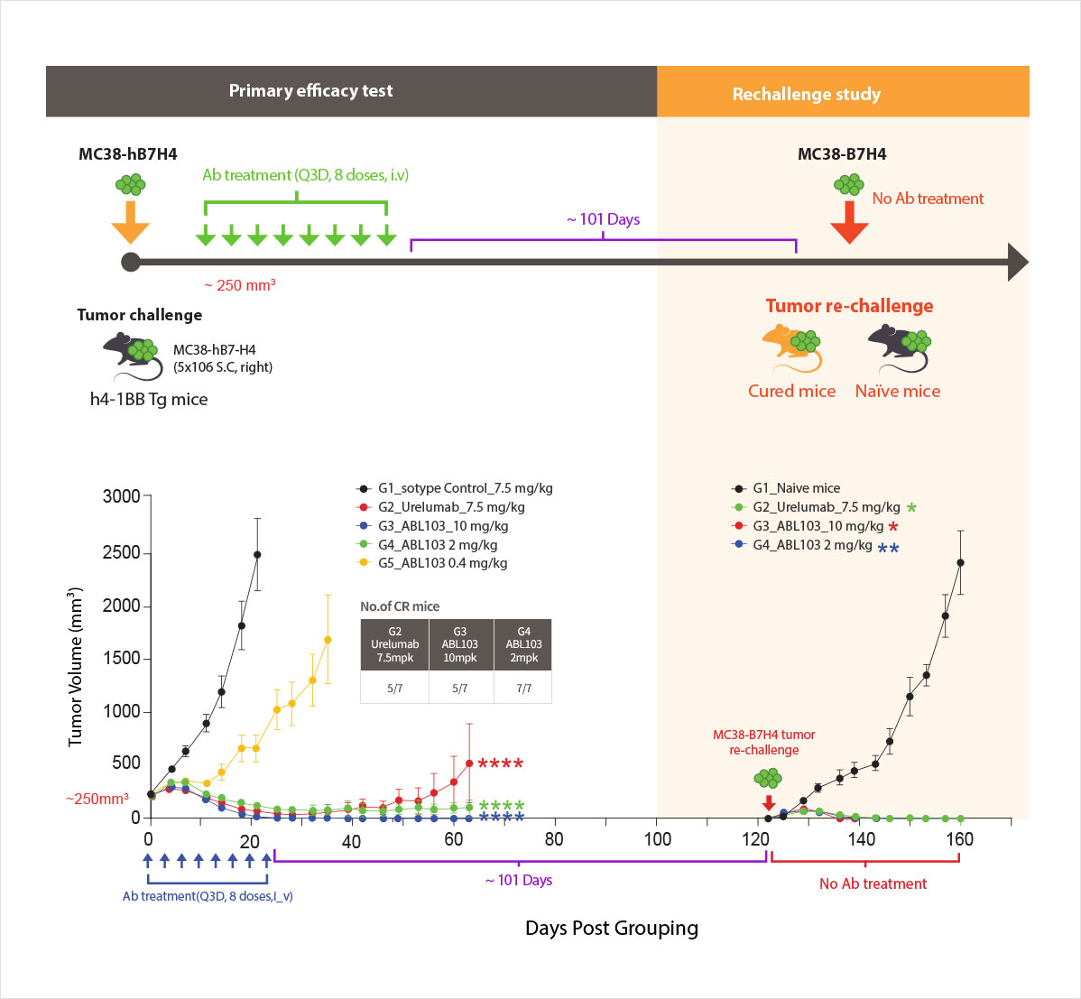 Superior Anti-Tumor Effect with Immunological Memory