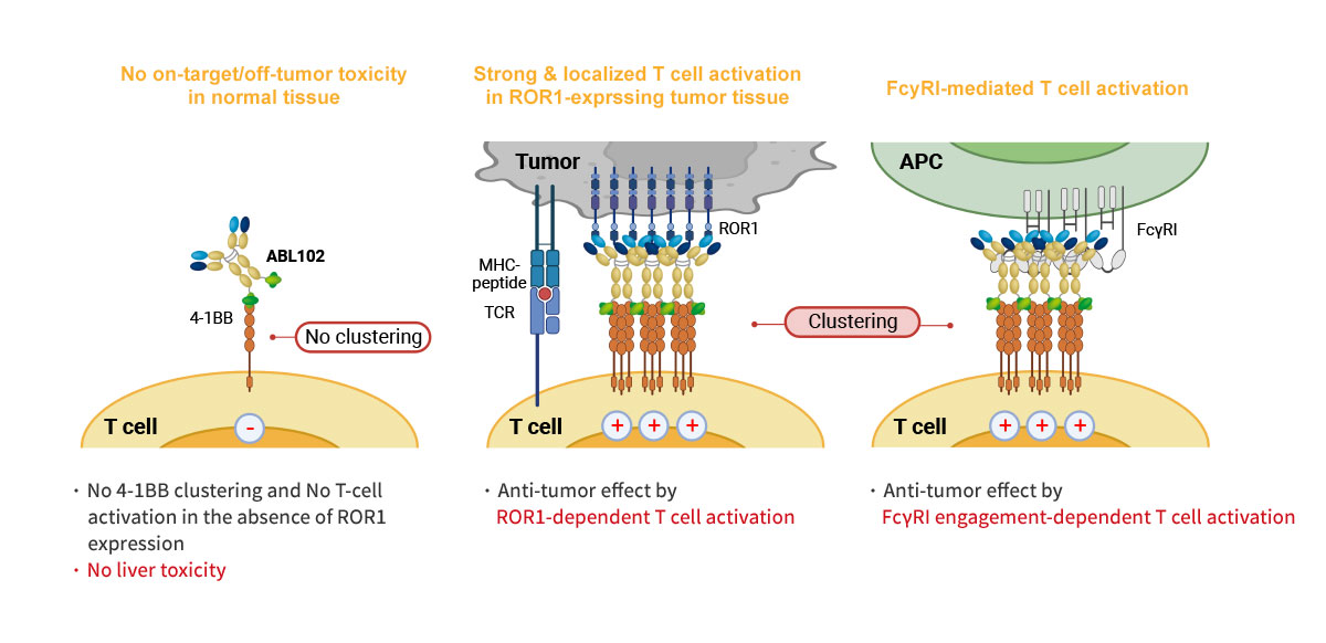 MOA of ABL102