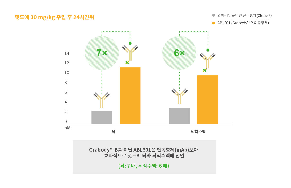 동물모델 Grabody™ B의 월등한 BBB 투과율