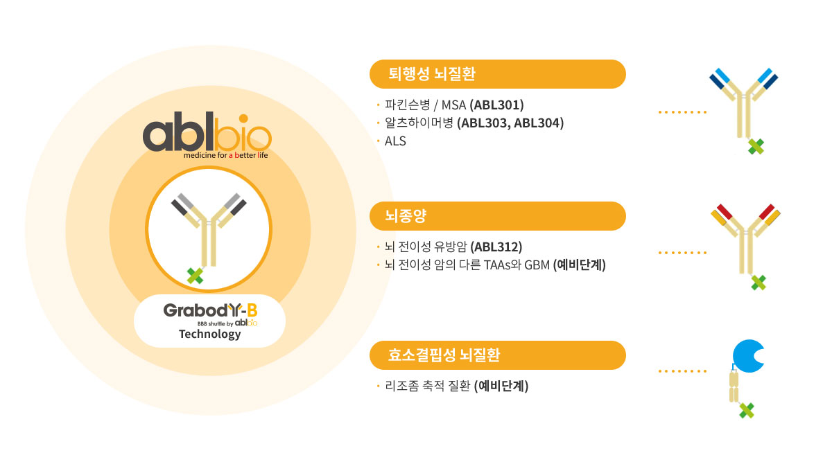 Grabody™ B 는 각종 퇴행성 뇌질환 증상에 적용 가능