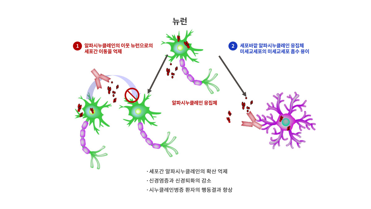 ABL301은 두 가지 MOA로 시누클레인병증을 개선