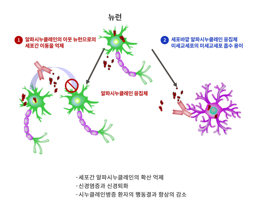 ABL301은 두 가지 MOA로 시누클레인병증을 개선