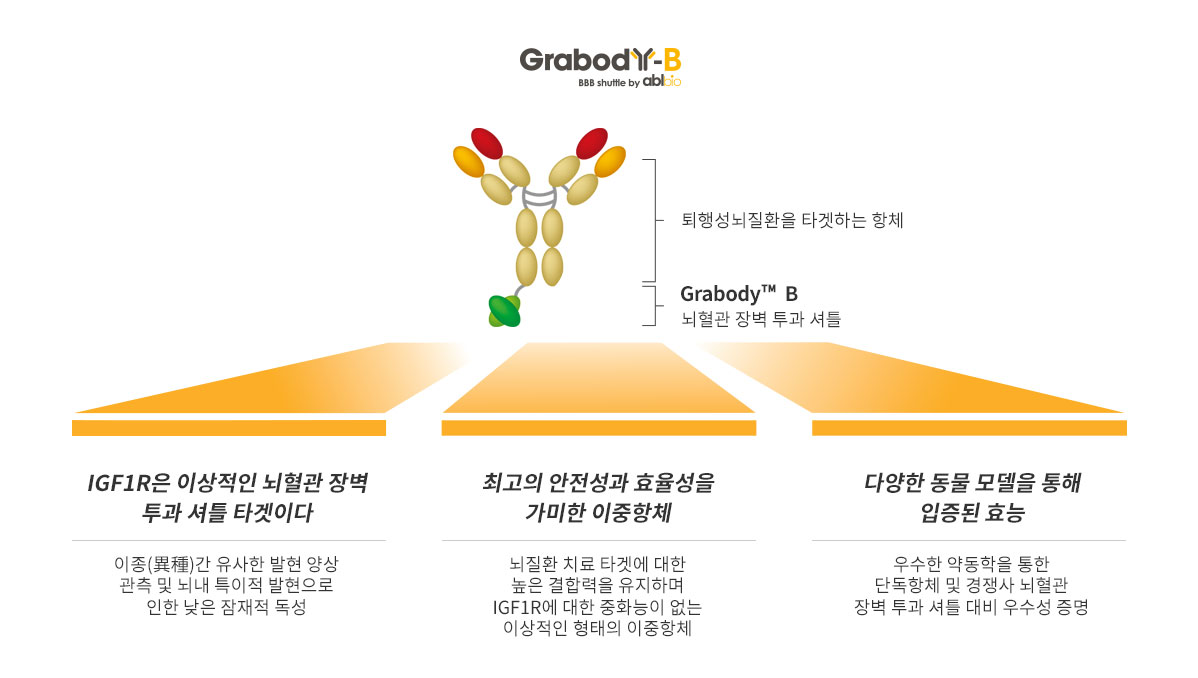 단독항체가 지니는 뇌혈관 장벽 투과의 한계를 극복한 Grabody-B는 최적화된 안전성과 효율성을 지닌 치료제이다