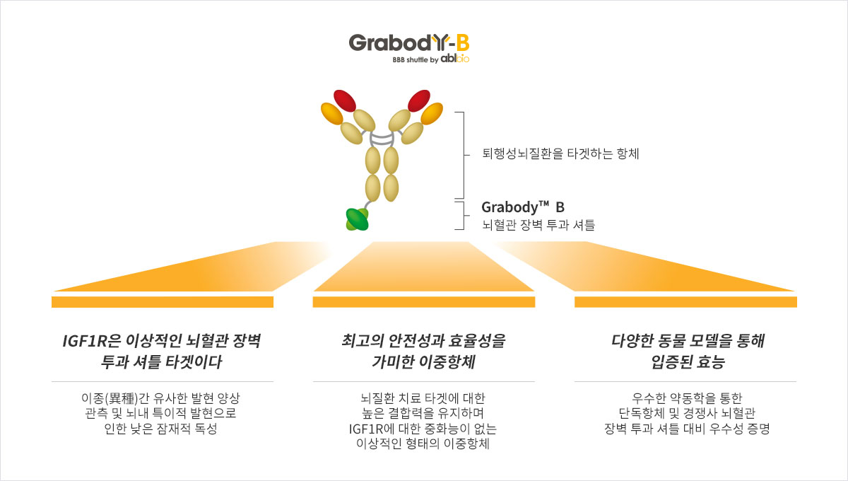 단독항체가 지니는 뇌혈관 장벽 투과의 한계를 극복한 Grabody-B는 최적화된 안전성과 효율성을 지닌 치료제이다