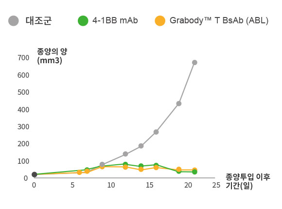 T세포 관여 4-1BB 이중항체의 항암 효과