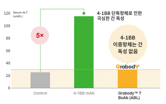 T세포 관여 4-1BB 이중항체는 간 독성 없음