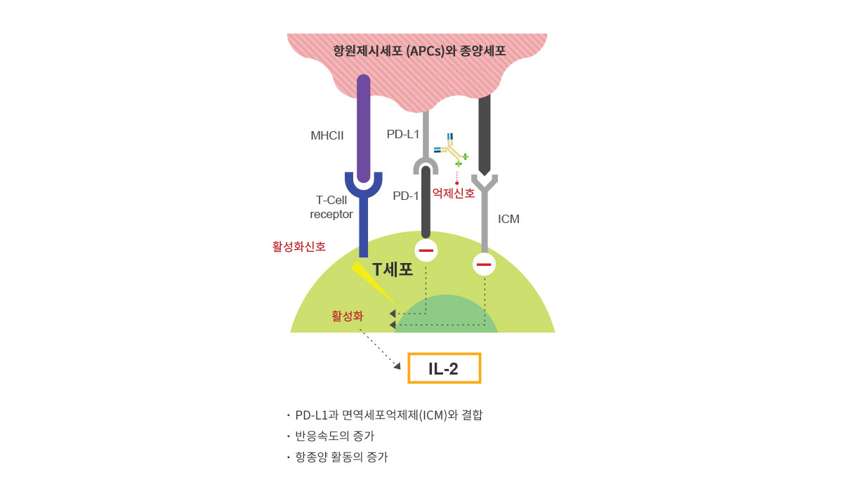 Grabody™ I의 행동 메카니즘