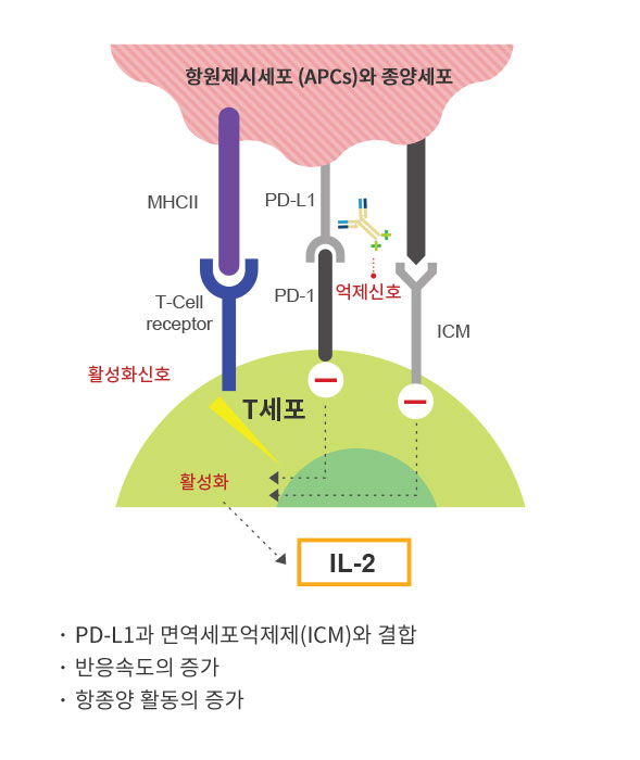 Grabody™ I의 행동 메카니즘