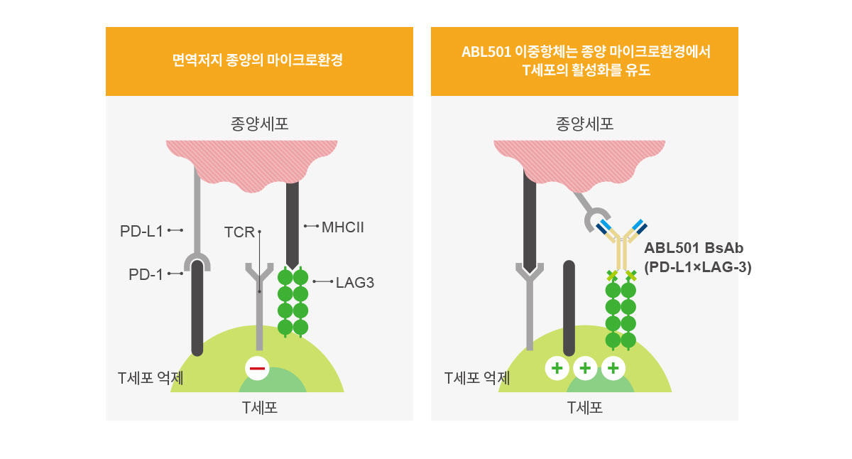 ABL의 Grabody™ I ABL501는 듀얼 면역관문 억제제 (PD-L1 & LAG-3)