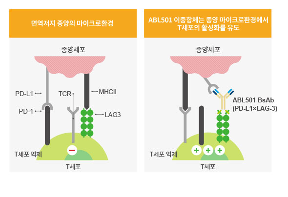 ABL의 Grabody™ I ABL501는 듀얼 면역관문 억제제 (PD-L1 & LAG-3)