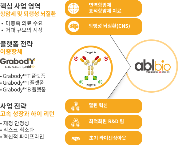 핵심 사업 영역, 플랫폼 전략, 사업 전략