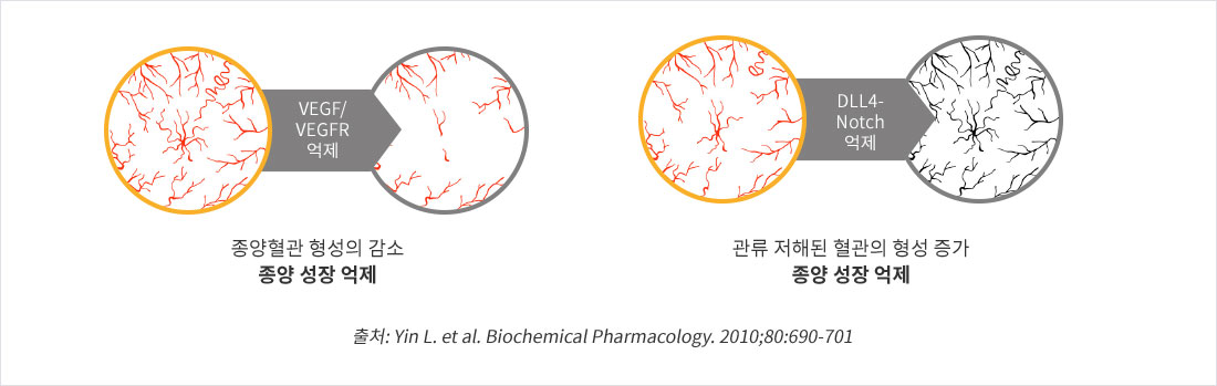 ABL001 작용기전