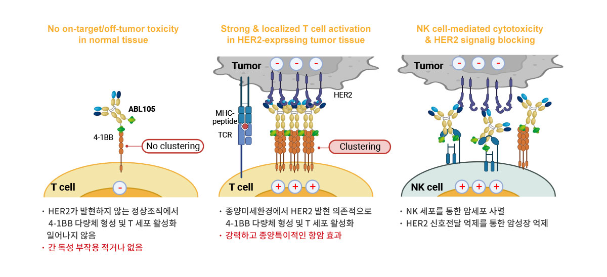 ABL105 작용기전