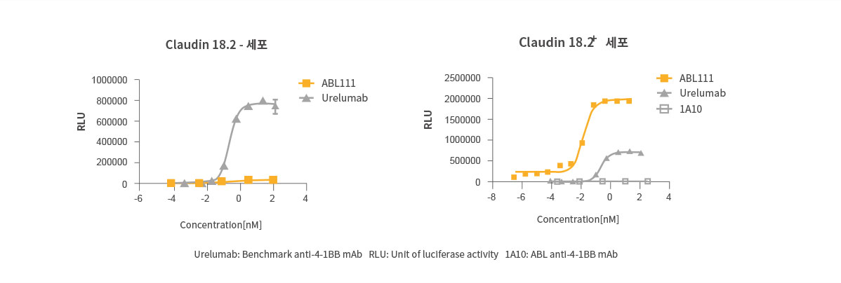 Claudin18.2 의존적 4-1BB 활성화
