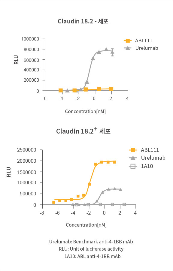 Claudin18.2 의존적 4-1BB 활성화