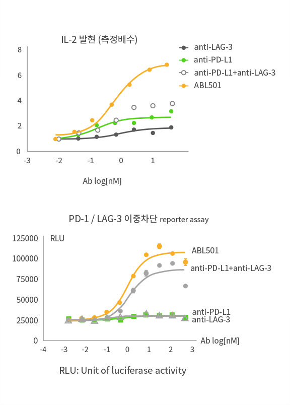 LAG-3 및 PD-L1 단일항체 병용 대비 우수한 T cell 활성능