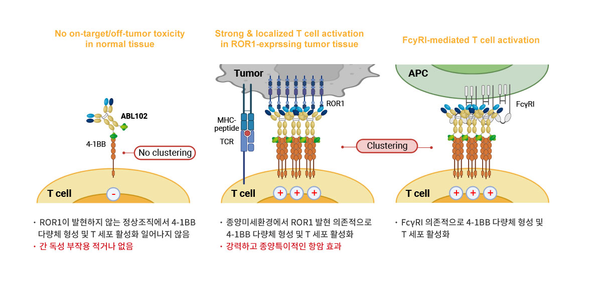 ABL102 작용기전