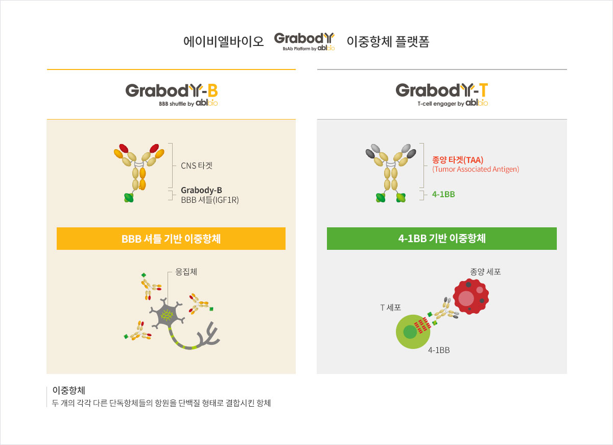 핵심기술: 에이비엘바이오는 난치 질환들을 치료하기 위한 다양한 플랫폼 기술을 보유하고 있습니다.