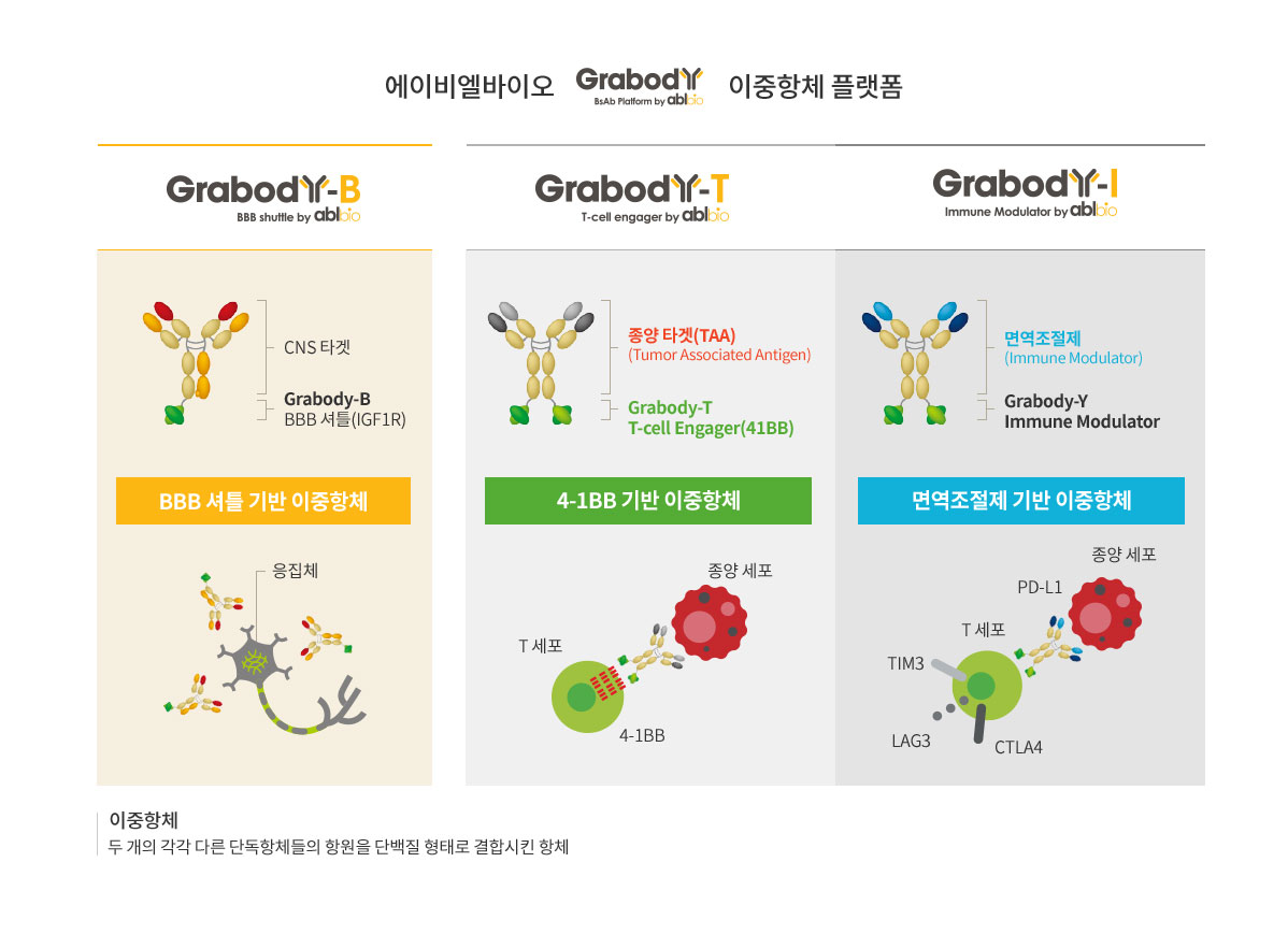 핵심기술: 에이비엘바이오는 난치 질환들을 치료하기 위한 다양한 플랫폼 기술을 보유하고 있습니다.